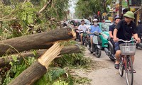  Hơn 17 tỷ đồng xây, sửa nhà cho hộ nghèo bị bão số 3 tàn phá ở Hải Phòng 第3张