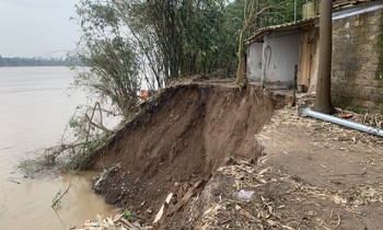  12.000 người vay ngân hàng ở Hải Phòng, Quảng Ninh thiệt hại vì bão 