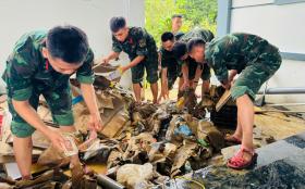 Giả mạo Hội Chữ thập đỏ nhận tiền ủng hộ đồng bào bị thiệt hại bởi bão số 3  第2张