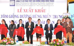 Xuất khẩu 2,5 triệu tôm giống sang Đài Loan