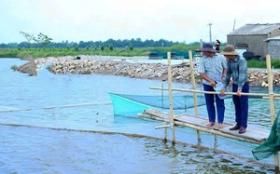 Một ông nông dân Hà Tĩnh vô tình đào được củ sắn &quot;khủng&quot; chưa từng có, dài hơn 1m, nặng 25kg