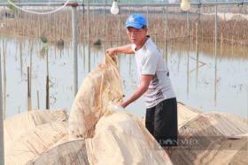 Nông dân gượng dậy thế nào sau bão Yagi: Làng hoa lớn nhất Nam Định tan hoang, 200 tỷ đồng &quot;trôi&quot; theo lũ (Bài 3)  第2张