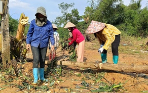 Nông dân gượng dậy thế nào sau bão Yagi: Làng hoa lớn nhất Nam Định tan hoang, 200 tỷ đồng &quot;trôi&quot; theo lũ (Bài 3)  第9张