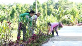 Quảng Nam: Xã Tiên Thọ xây dựng nông thôn mới có điểm khởi đầu, nhưng không kết thúc  第5张