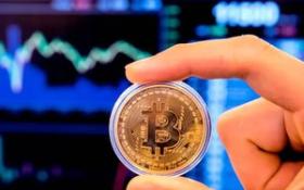 Fed hạ lãi suất, giá Bitcoin tăng chóng mặt