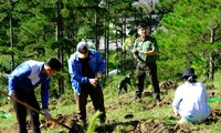  Đại biểu &apos;Quốc hội trẻ em&apos; đề xuất lập phòng tham vấn tâm lý học đường hạn chế bạo lực 第11张