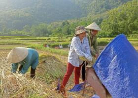 Nghệ An đẩy mạnh phong trào thi đua 'Cả nước chung tay xây dựng nông thôn mới'