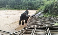  Tàu thủy vi phạm khoảng cách an toàn lưới điện, 38.000 hộ dân mất điện 