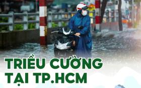 Dân vùng triều cường mong ngóng công trình chống ngập