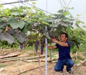 Ở &quot;vùng trũng&quot; Sơn Động, Bắc Giang: Biến khó khăn thành sức mạnh, &quot;băng băng&quot; về đích nông thôn mới