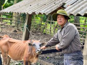 Đồng bào dân tộc Ma Coong ở xã này của Quảng Bình nuôi trâu, nuôi bò, có nhà mua được ô tô