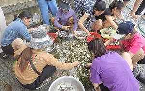 Đồng bào dân tộc Ma Coong ở xã này của Quảng Bình nuôi trâu, nuôi bò, có nhà mua được ô tô